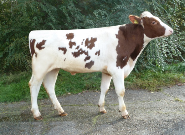 МАРКОНИ 60268 ET